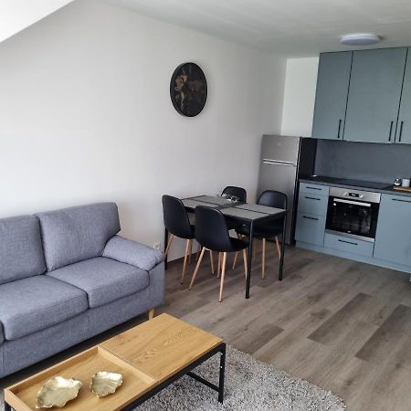 Cerna Ruze- Apartman 5 Plzeň Exteriör bild
