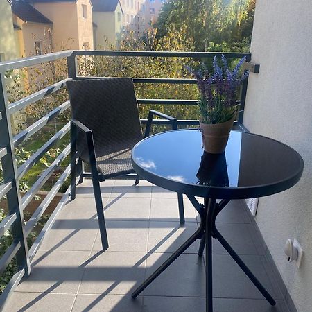 Cerna Ruze- Apartman 5 Plzeň Exteriör bild