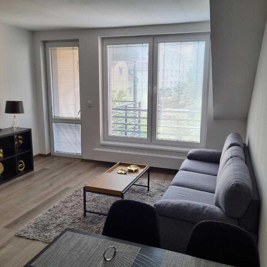 Cerna Ruze- Apartman 5 Plzeň Exteriör bild