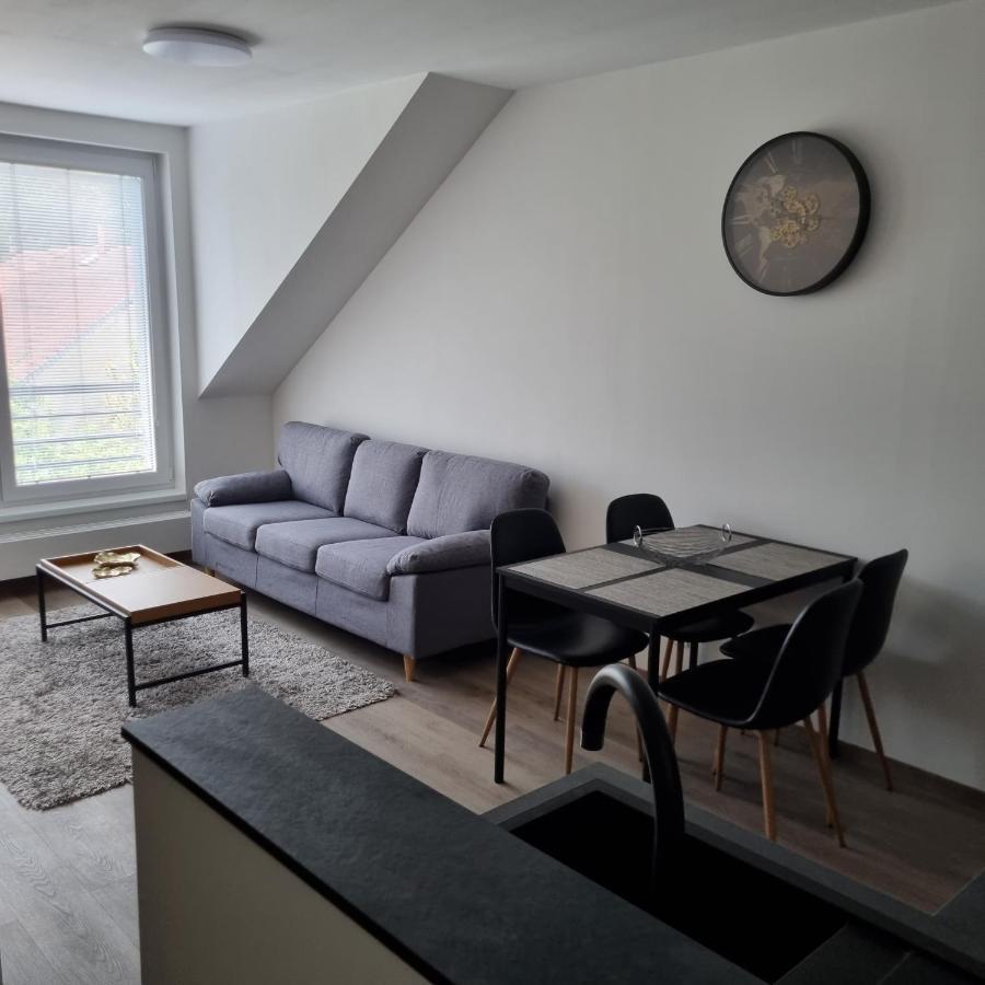 Cerna Ruze- Apartman 5 Plzeň Exteriör bild