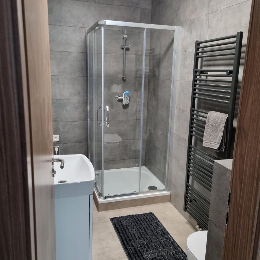 Cerna Ruze- Apartman 5 Plzeň Exteriör bild