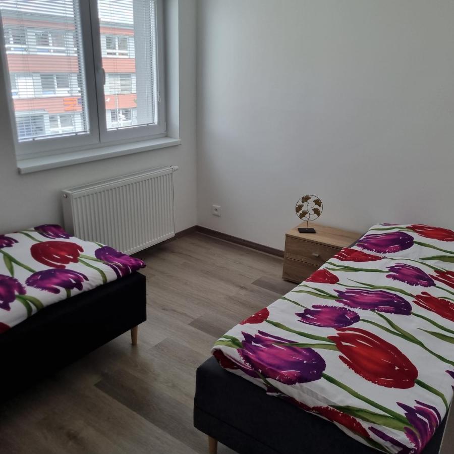 Cerna Ruze- Apartman 5 Plzeň Exteriör bild