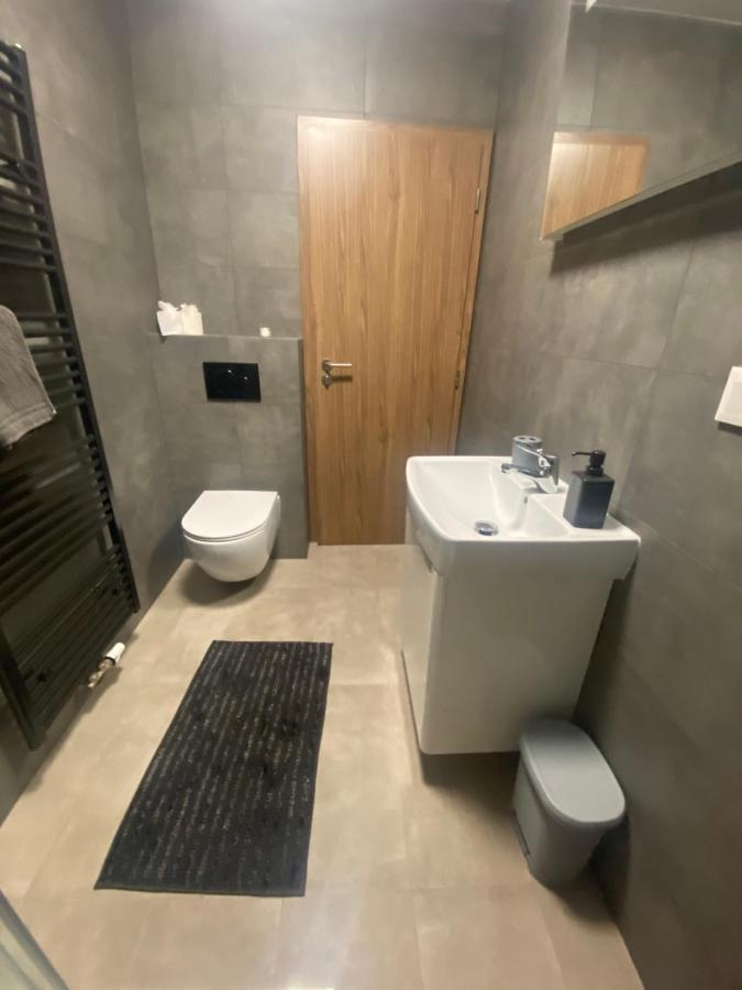 Cerna Ruze- Apartman 5 Plzeň Exteriör bild