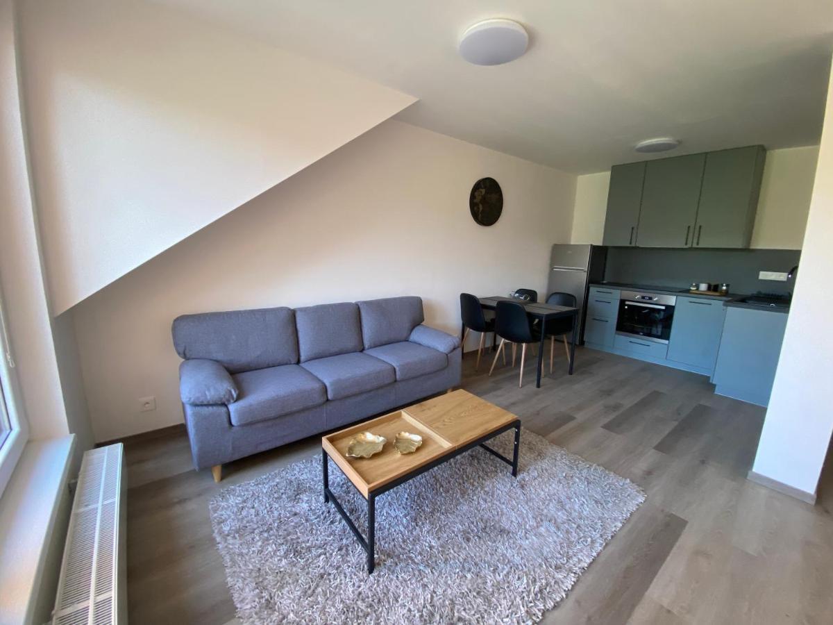 Cerna Ruze- Apartman 5 Plzeň Exteriör bild