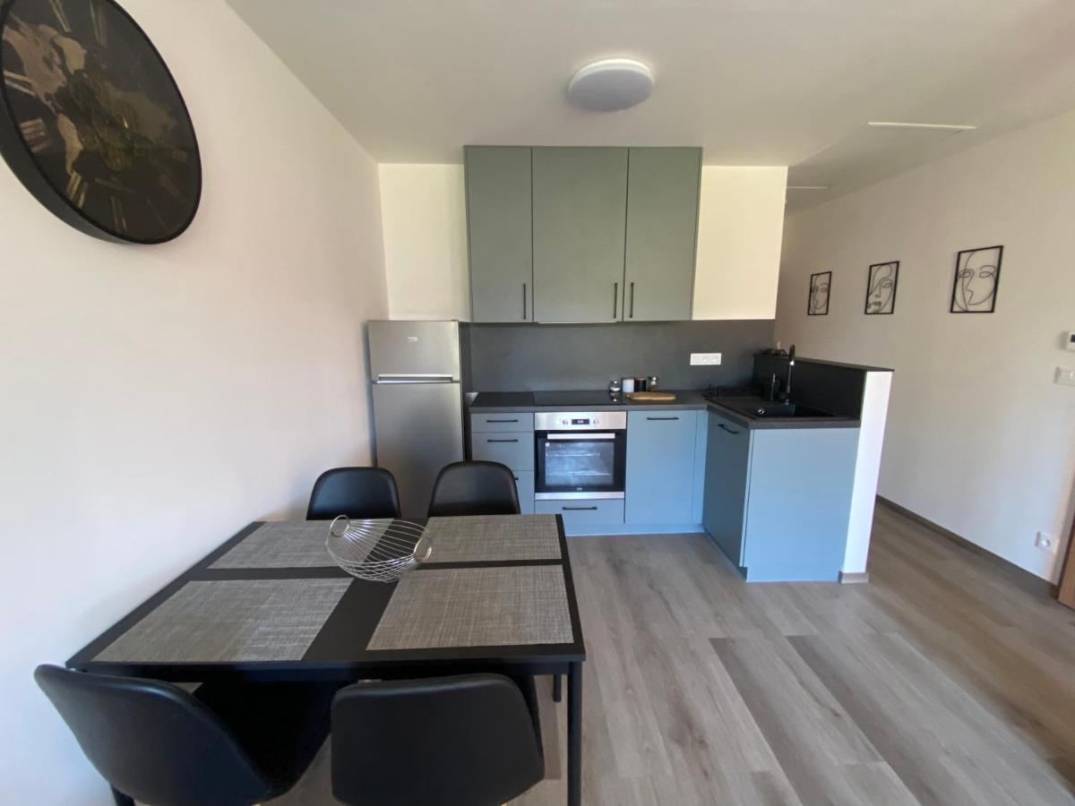 Cerna Ruze- Apartman 5 Plzeň Exteriör bild