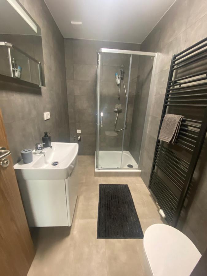 Cerna Ruze- Apartman 5 Plzeň Exteriör bild