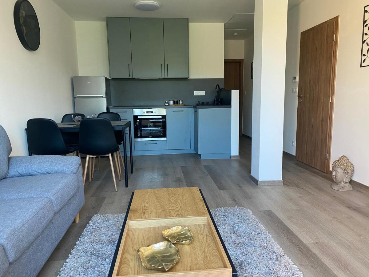 Cerna Ruze- Apartman 5 Plzeň Exteriör bild
