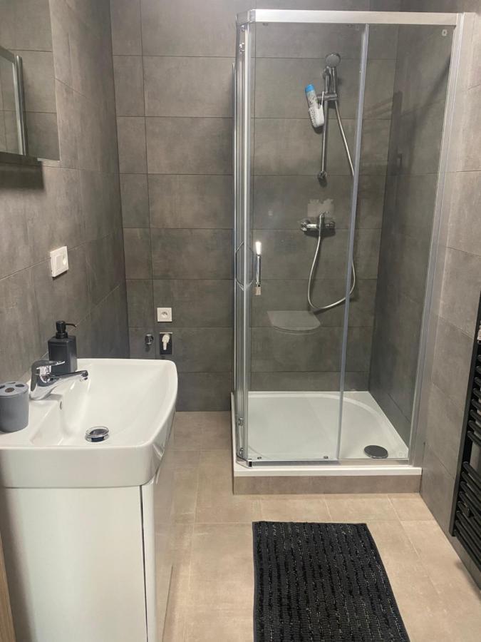 Cerna Ruze- Apartman 5 Plzeň Exteriör bild