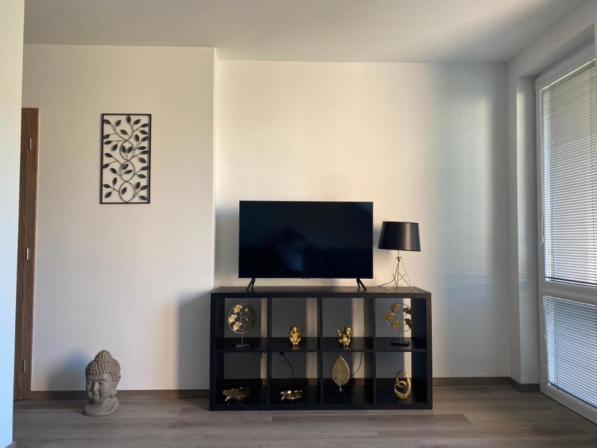 Cerna Ruze- Apartman 5 Plzeň Exteriör bild