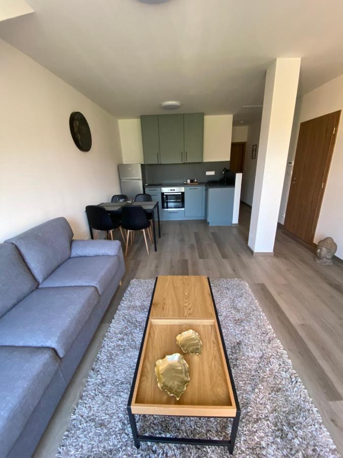 Cerna Ruze- Apartman 5 Plzeň Exteriör bild