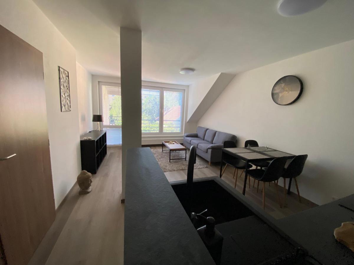 Cerna Ruze- Apartman 5 Plzeň Exteriör bild