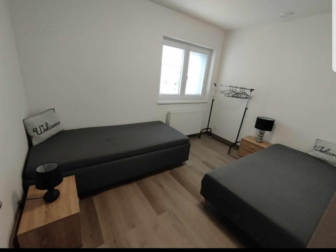 Cerna Ruze- Apartman 5 Plzeň Exteriör bild