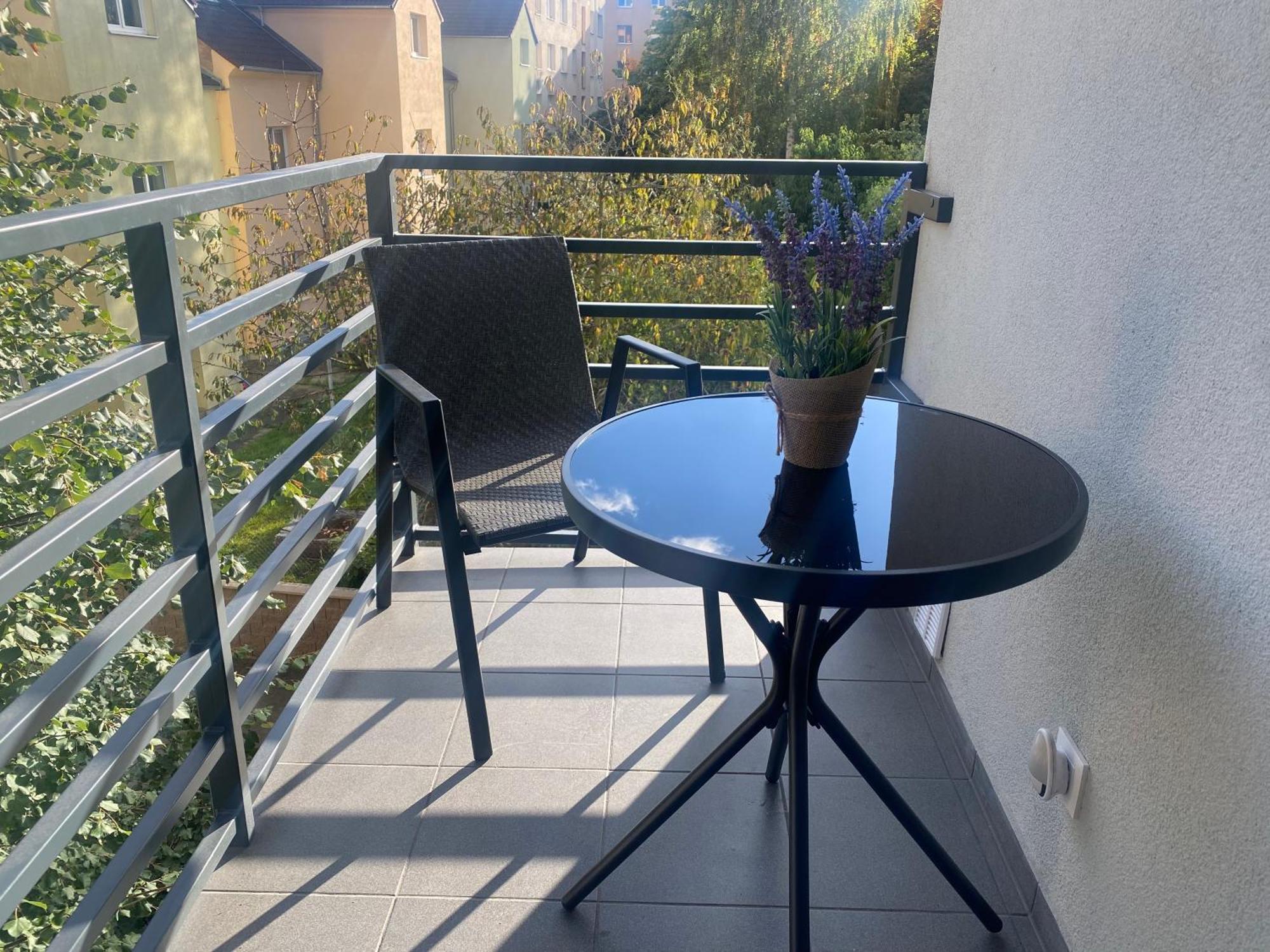 Cerna Ruze- Apartman 5 Plzeň Exteriör bild